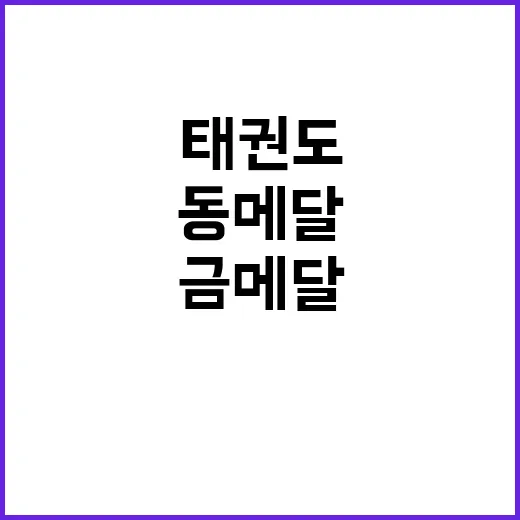 금메달 한국 태권도…