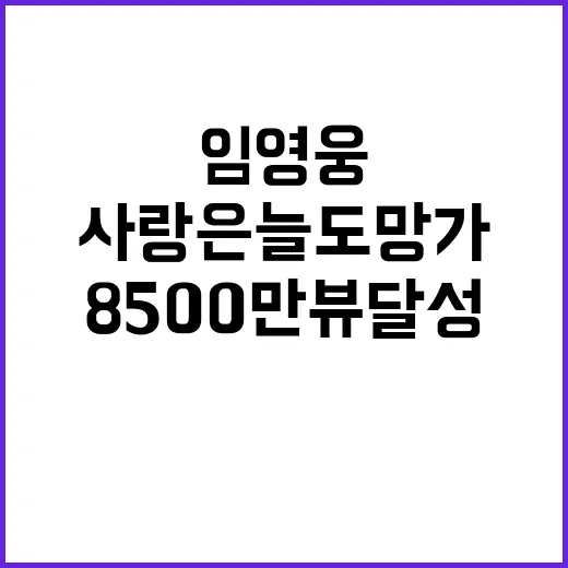 임영웅 사랑은 늘 도망가 8500만뷰 달성!