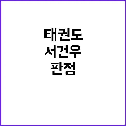 판정 번복 태권도 …