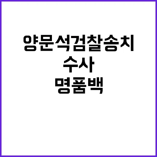 ‘명품백’ 최재영 양문석 검찰 송치로 수사 가속!