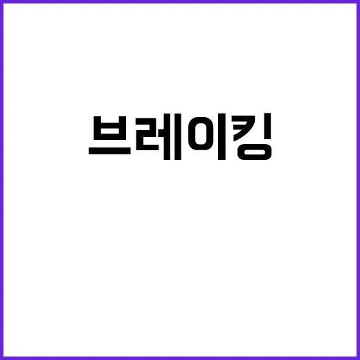 브레이킹 서니 최의…