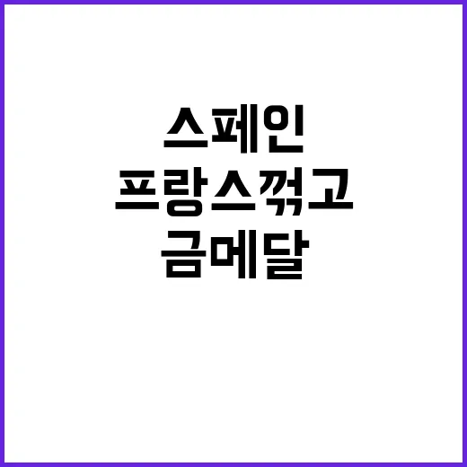 올림픽 금메달 스페인 프랑스 꺾고 승리!