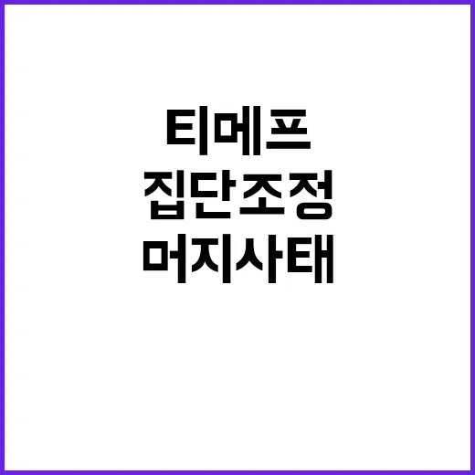 티메프 집단조정 9…