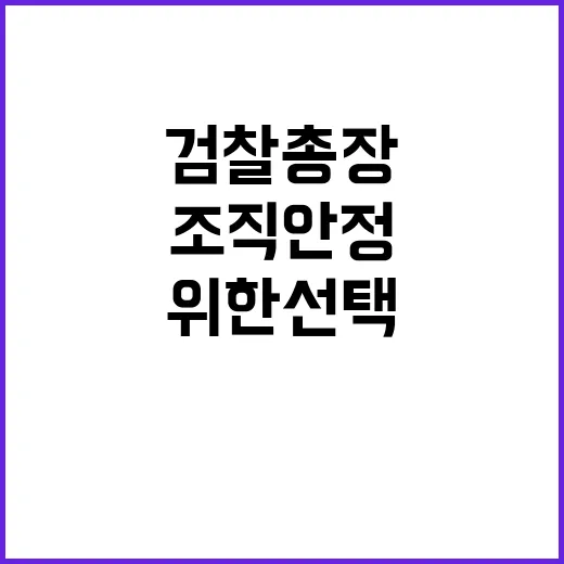 검찰총장 기획통 조…