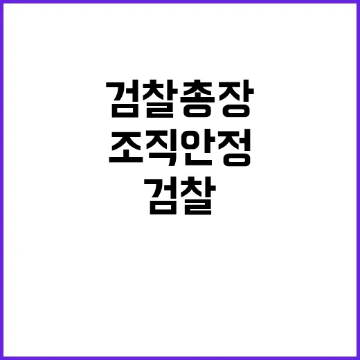 검찰총장 기획통 조…