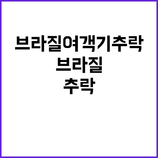 날개 얼음 브라질 …