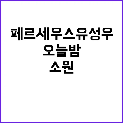 페르세우스 유성우 …