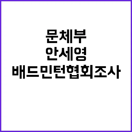 안세영 반박 – 배…