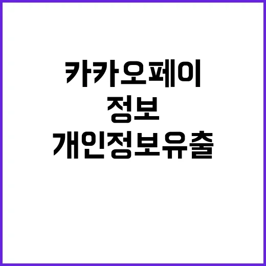 카카오페이 개인정보 유출 충격적 사실 공개!