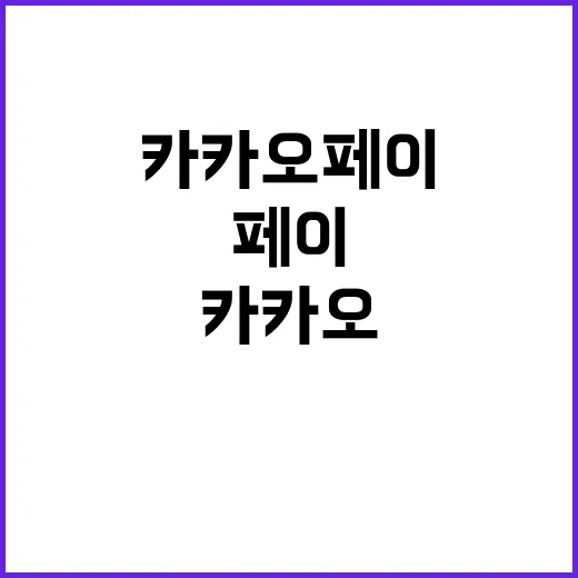 카카오페이 암호화 …