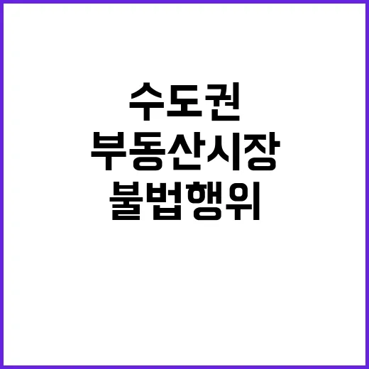 부동산 시장 불법행…