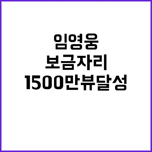 임영웅 보금자리 1500만뷰 달성의 비결은?