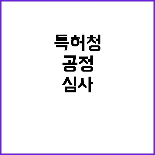 특허청 공정 심사 …