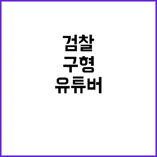 검찰 유튜버 벌금형…