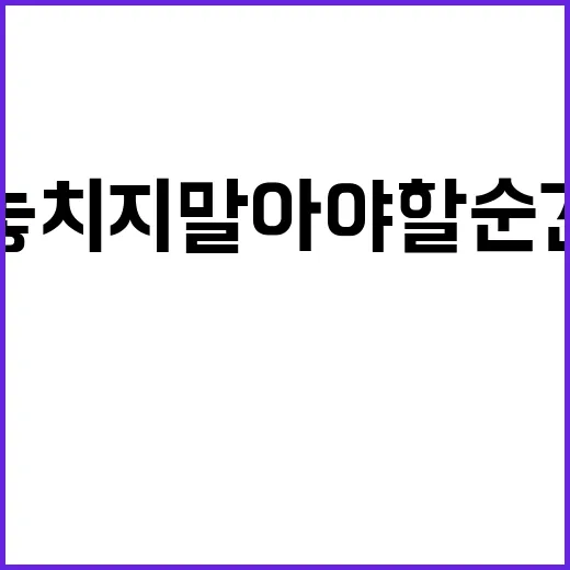 뉴스 9 중요한 사…