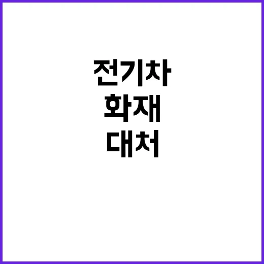 전기차 화재 중국의…