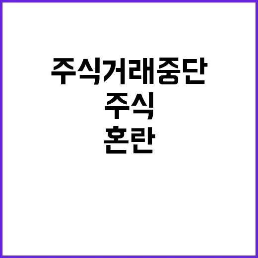 주식 거래 중단 투자자들 혼란에 빠지다!