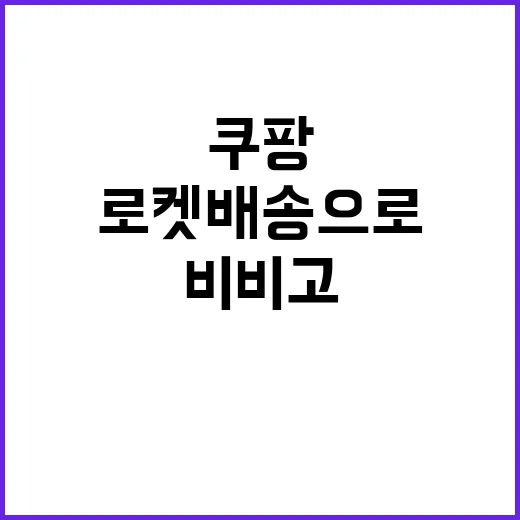 비비고 만두 로켓배송으로 쿠팡에서 만날 기회!