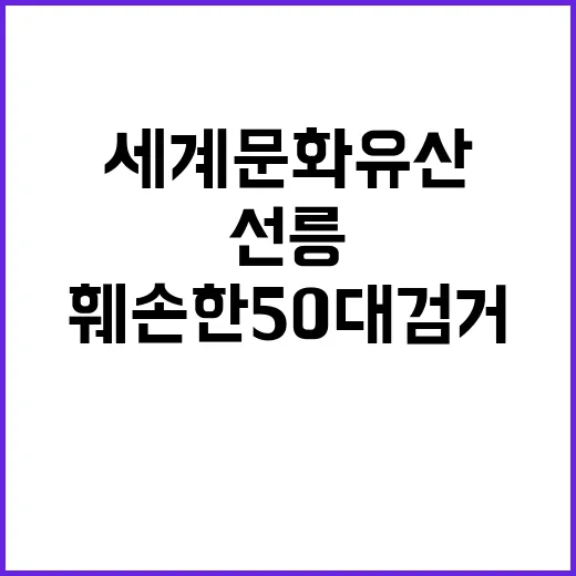 선릉 훼손한 50대 검거! 세계문화유산 지켜야!