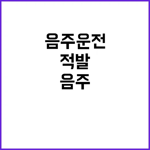 경찰 폭주족 단속 …