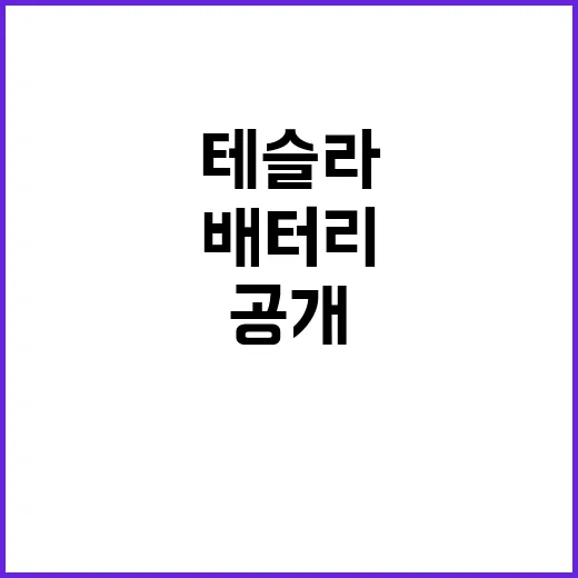 테슬라 차량의 중국…