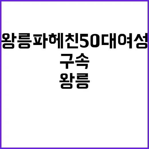 왕릉 파헤친 50대 여성 구속에서 벗어났다!