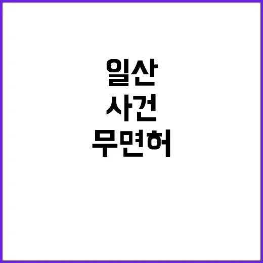 일산 킥라니 무면허…