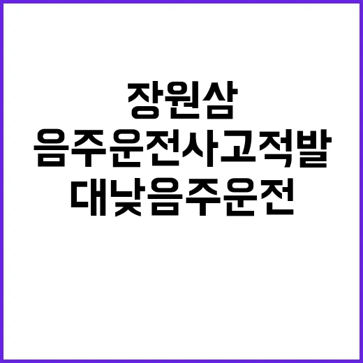 장원삼 부산 대낮 음주운전 사고 적발!