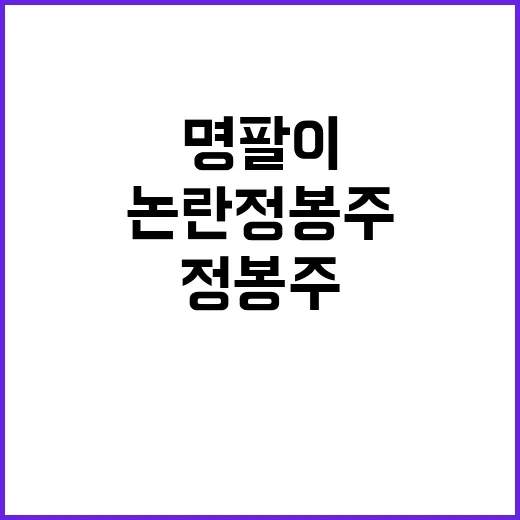 명팔이 논란 정봉주 반대한 분들 자산 발언!