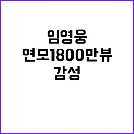 국보급 감성장인의 무대 임영웅 연모 1800만뷰!