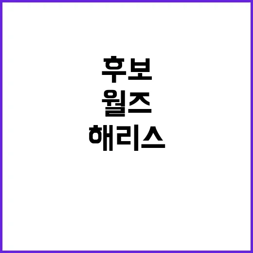 대선 후보 확정 해리스와 월즈의 출정식 전개!