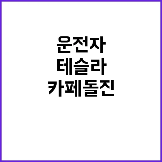 ‘카페 돌진’ 테슬…