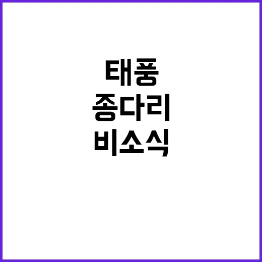 태풍 ‘종다리’ 북상 비 소식에 주의 필요!