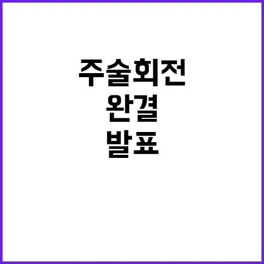 주술회전 다음 달 …