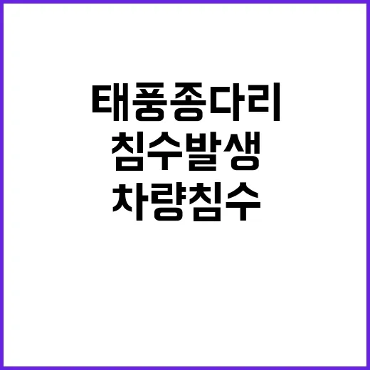 태풍 종다리 뱃길 …