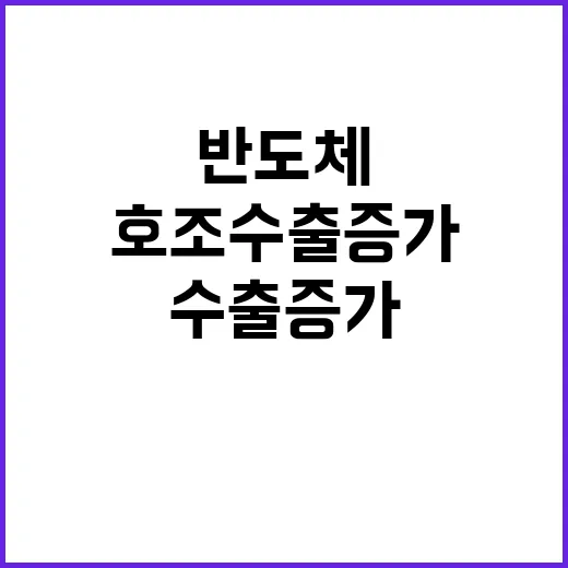 반도체 호조 수출 증가 18.5% 상승 비결 공개!