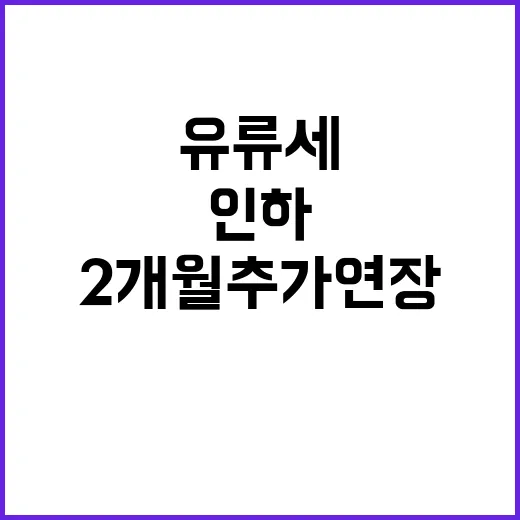 유류세 인하 2개월…