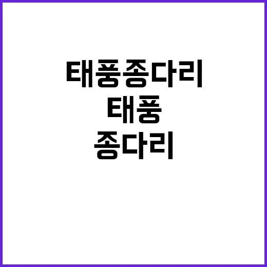 태풍 종다리 경남 피해 나무 쓰러짐 12건 발생