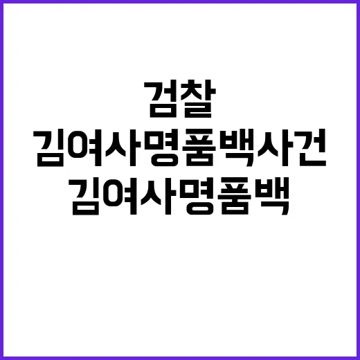 검찰 김 여사 명품…