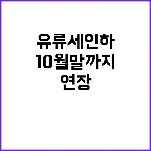 유류세 인하 10월 말까지 연장 결정!