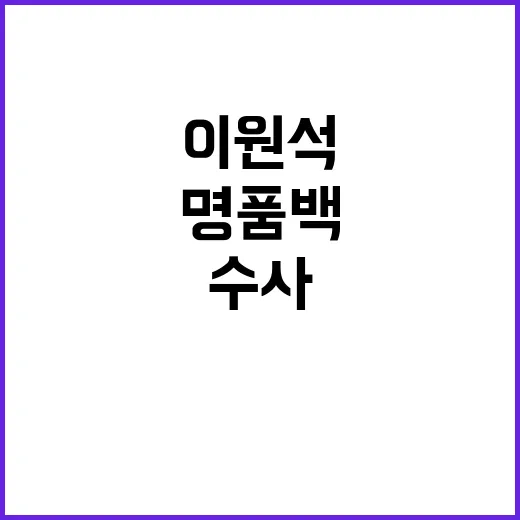 명품백 수사 결과 …