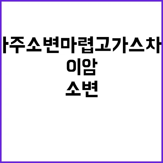 이 암 자주 소변 …