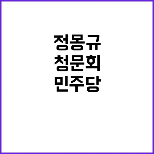 정몽규 출석 민주당…