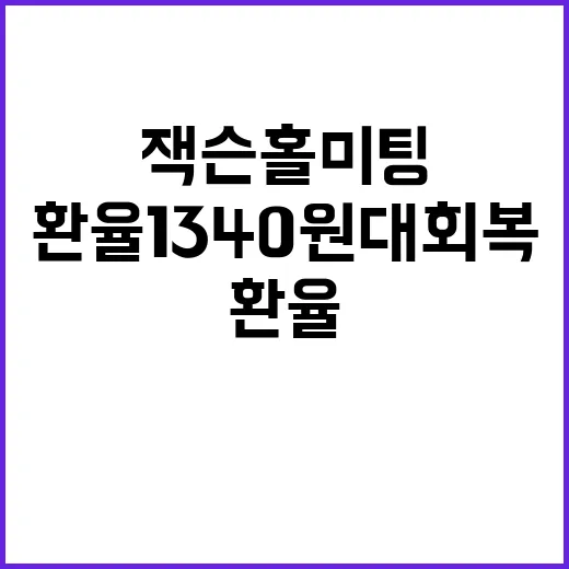 잭슨홀 미팅 환율 …