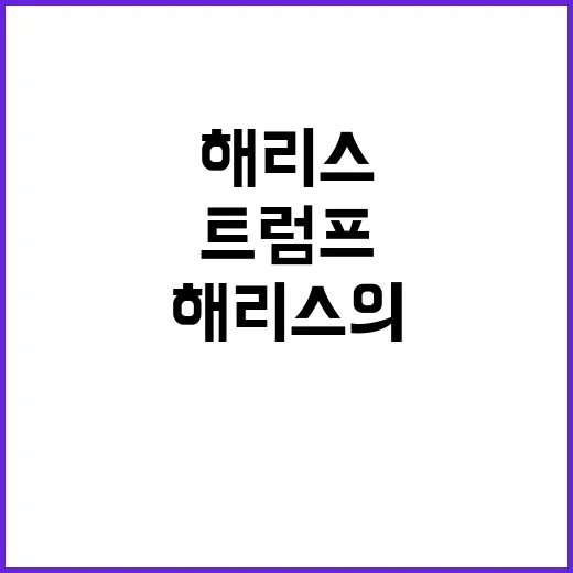 해리스의 트럼프 공…