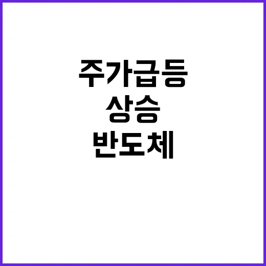 엔비디아 주가 급등…