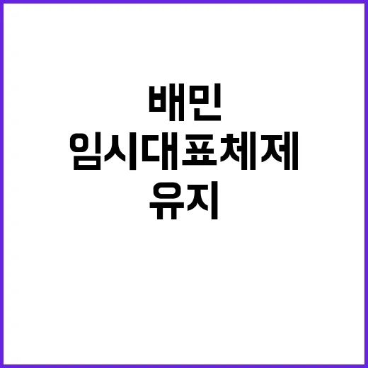 배민 임시대표 체제…