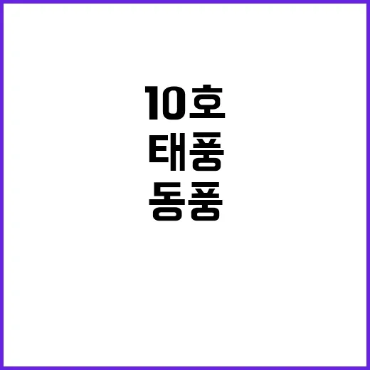 태풍 10호 더위와 동풍의 불길한 경고!