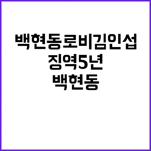 백현동 로비 김인섭 여전히 징역 5년!