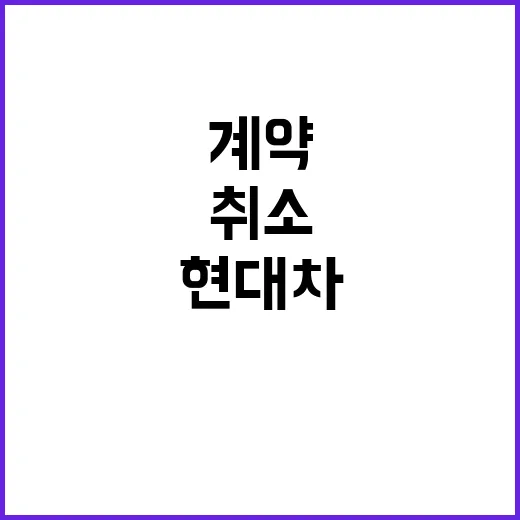 현대차 신차 소비자들 계약 취소 이유는?